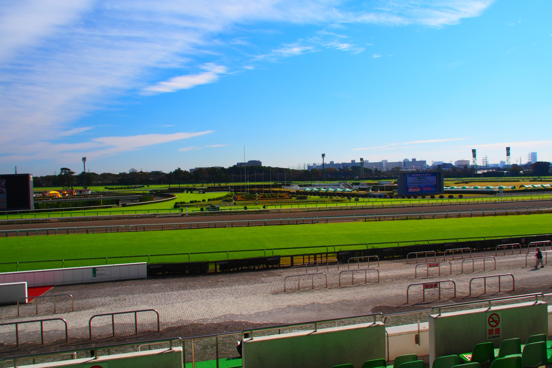 地方競馬の1番人気の勝率データをまとめてみたら、面白い傾向が！？ 競馬予想なら地方競馬ナビ